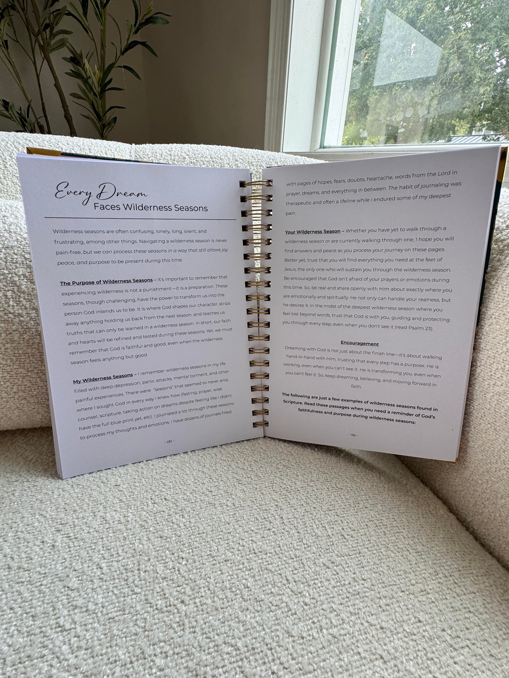 It's Time to Dream Again Journal
